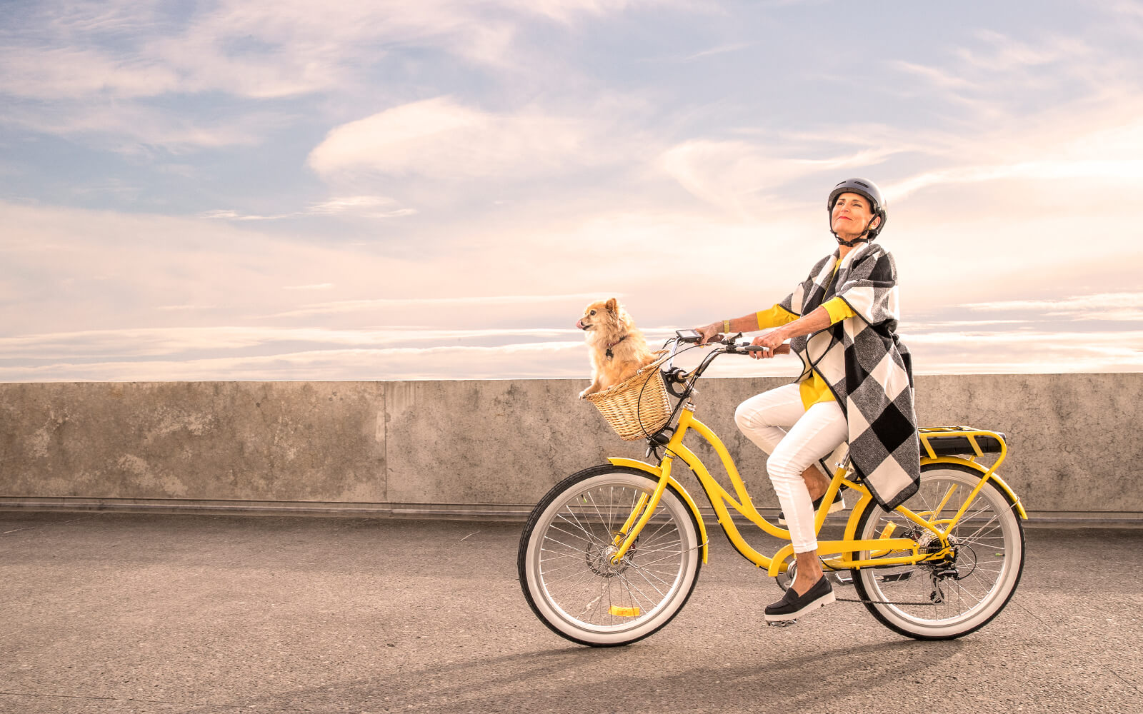smiling dog with woman on bike